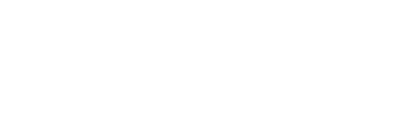 Novosos International